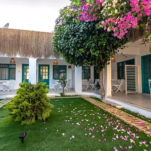 https://avlu-boutique-hotel.aegeanhotels.net