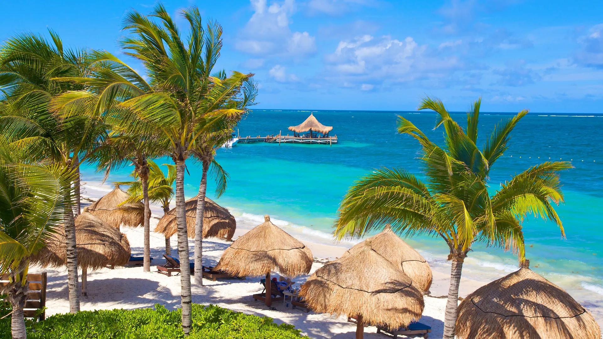 Desire Riviera Maya Pearl Resort (Adults Only) contacts